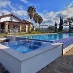 Margarita Polis