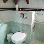 Margarita Polis