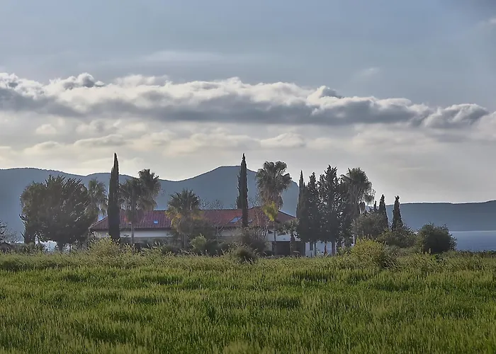 Margarita ヴィラ *